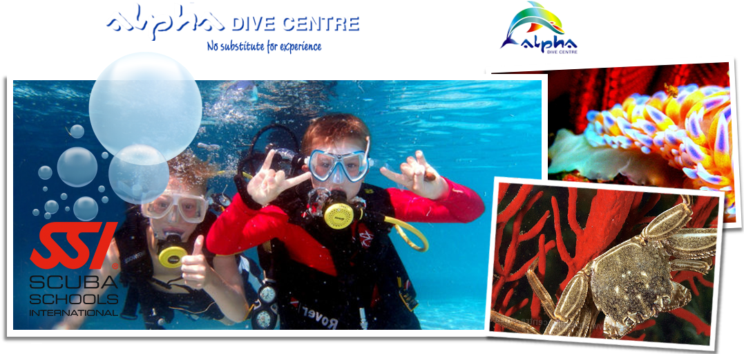 Special Of The Month - Buoyancy Compensator (1168x519), Png Download