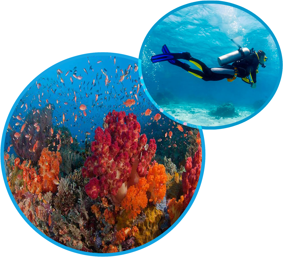 Illustration (1024x938), Png Download