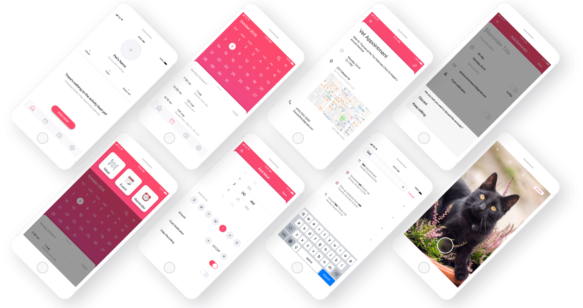 Background - Black Cat (2600x1215), Png Download