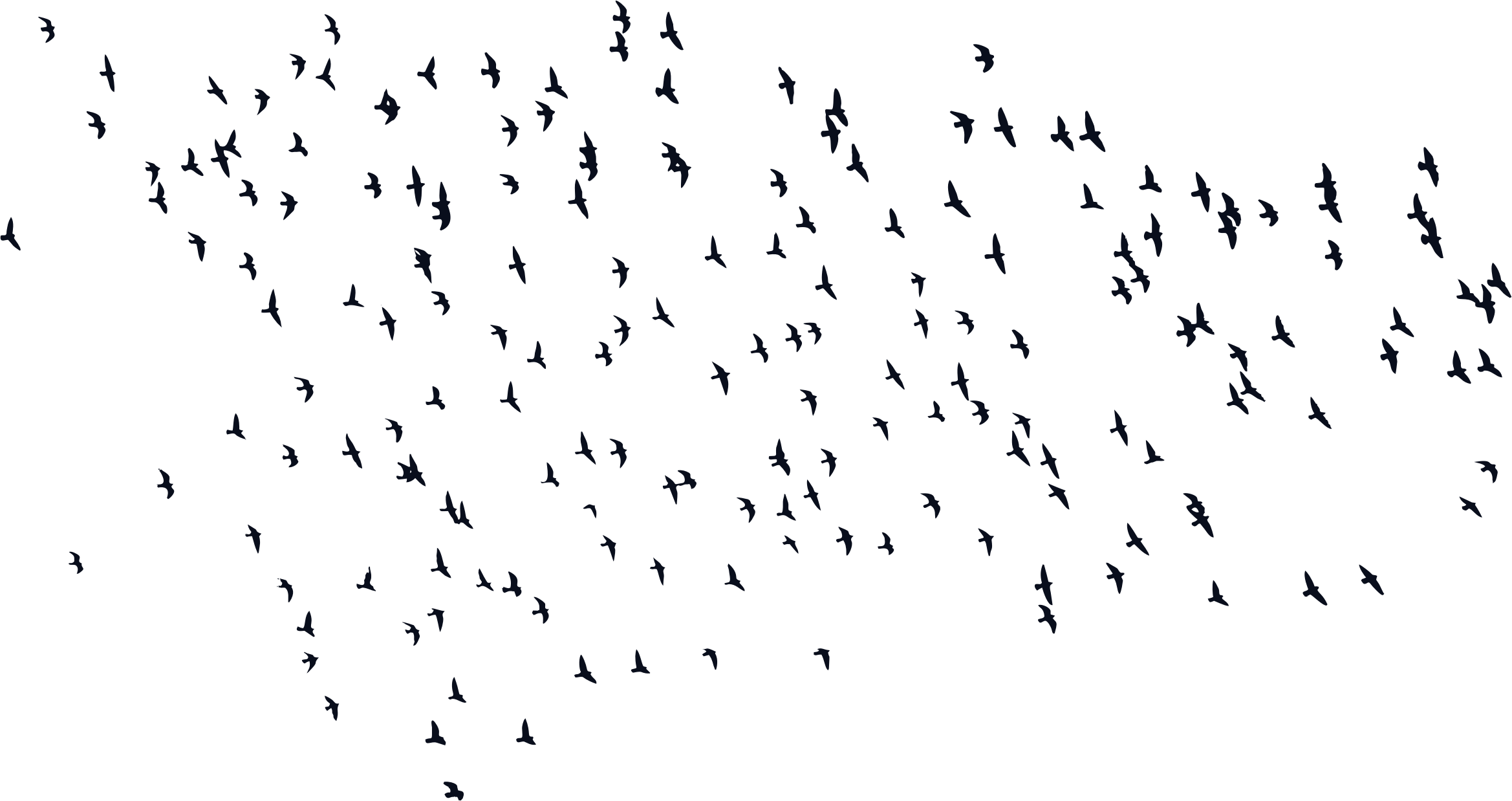 Big Image - Birds Silhouette Png (2338x1238), Png Download