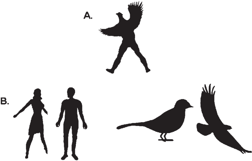 An Example Of A Visual Hybrid (half Human Half Bird - Half Human Half Bird (850x542), Png Download