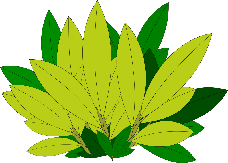 Free Nature Clipart - Blätter Clipart (800x572), Png Download