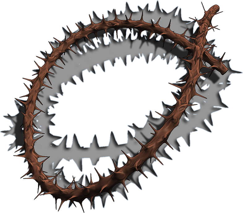 A - Cartilaginous Fish (786x687), Png Download