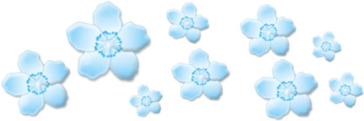 Flowers Flower Crown Crowns Flowercrown Blue Tumblr - Flower Crown For Picsart (1024x1024), Png Download
