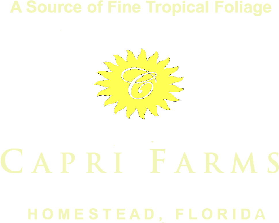 Cropped Header Final 2 Margins Fotoflexer Photo E1382986851686 - Circle (1000x814), Png Download