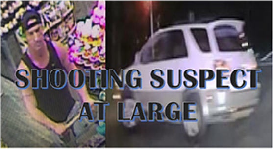 Police Seek Suspect In Safeway Parking Lot Shooting - Calluspeeling (800x500), Png Download