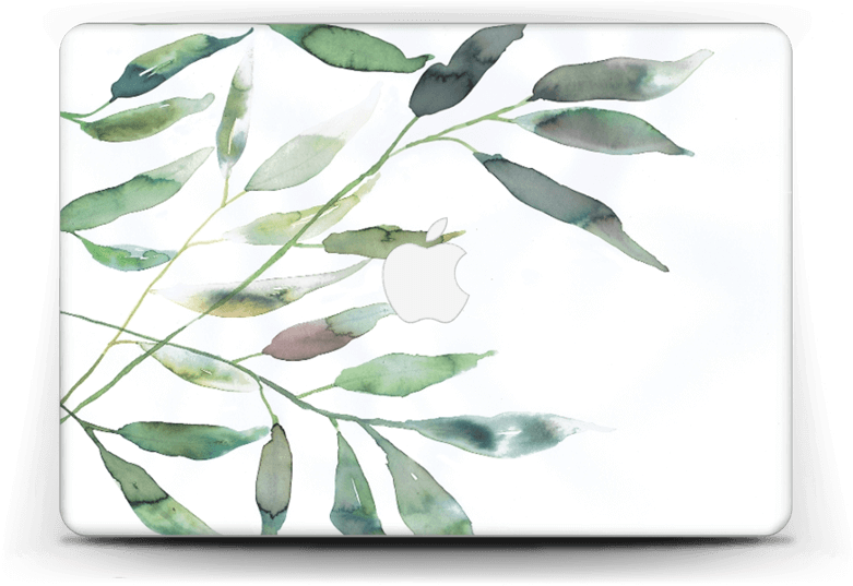 Ramas De Olivo - Display Device (800x562), Png Download