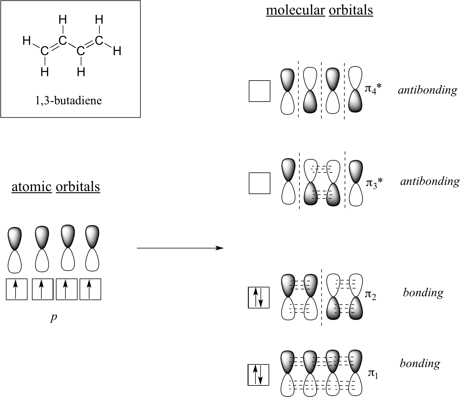 The Lowest Energy Molecular Orbital, Pi1, Has Only - 1 3 Butadiene Molecular Orbitals (1573x1358), Png Download