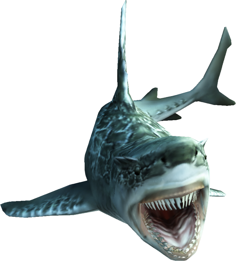 Fishes Png (825x915), Png Download