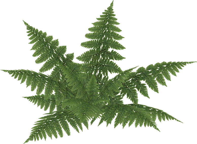 E-2 (800x800), Png Download