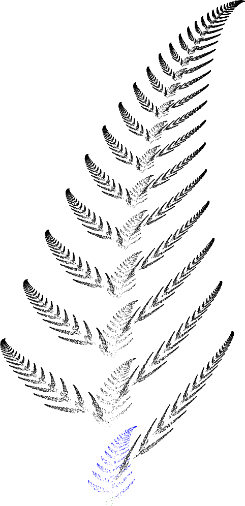 Barnsley Fern Funktion1 - Sketch (482x996), Png Download