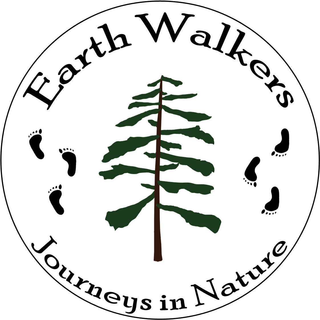 3 E1516384549210 - Design (2560x1440), Png Download