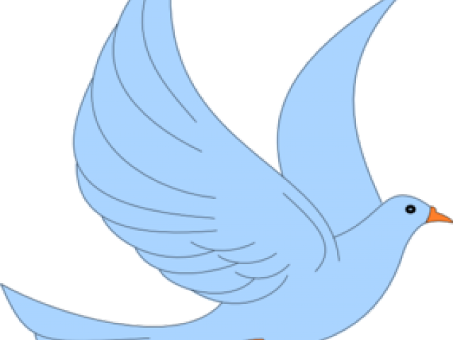 Twitter Clipart Transparent Background - Pigeons And Doves (640x480), Png Download