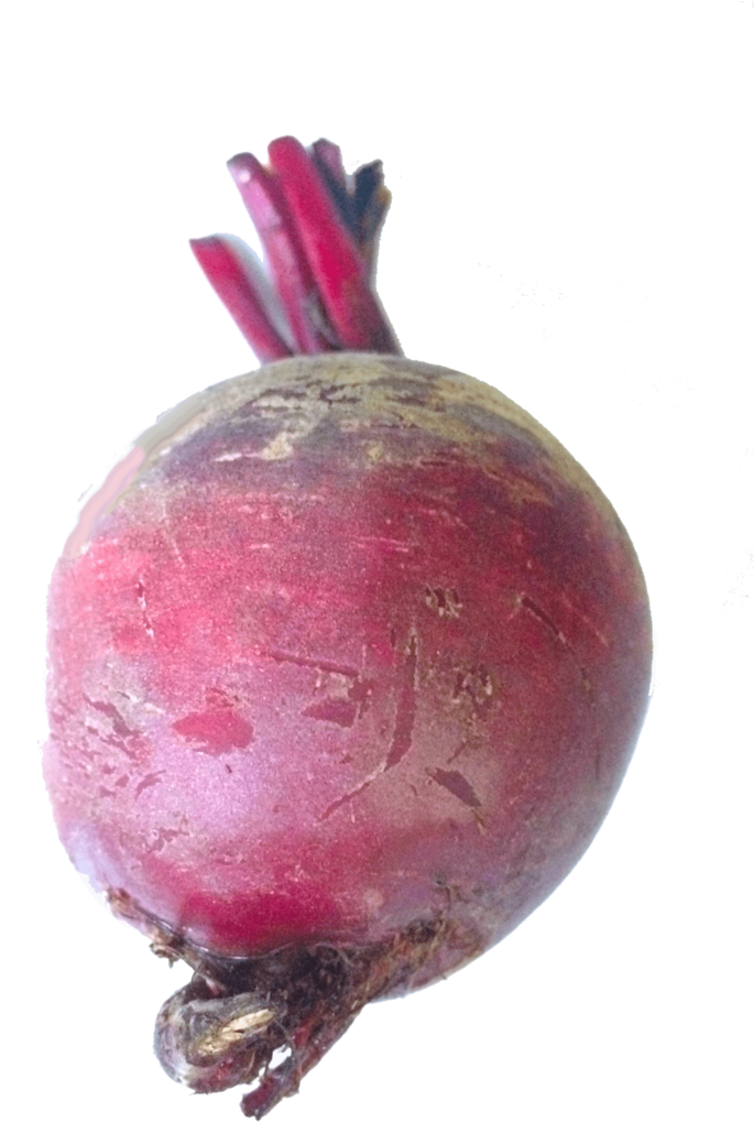 Beet - Common Beet (800x1108), Png Download
