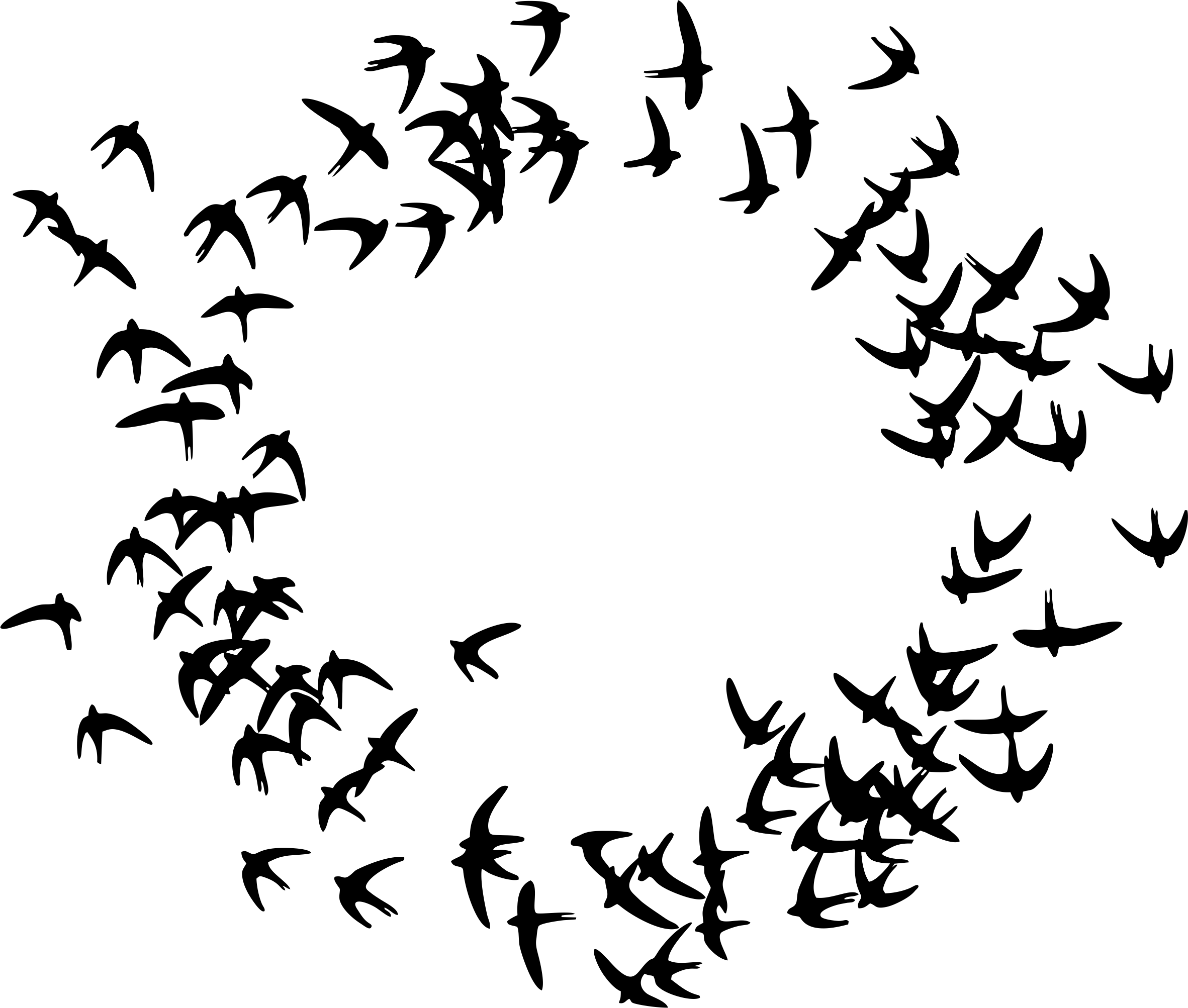 Birds Flying In A Circle - Particle Swarm Optimization Icon (2363x2006), Png Download