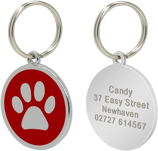 Personalized Colour Paw Dog Tag - Placas Para Perros (640x640), Png Download