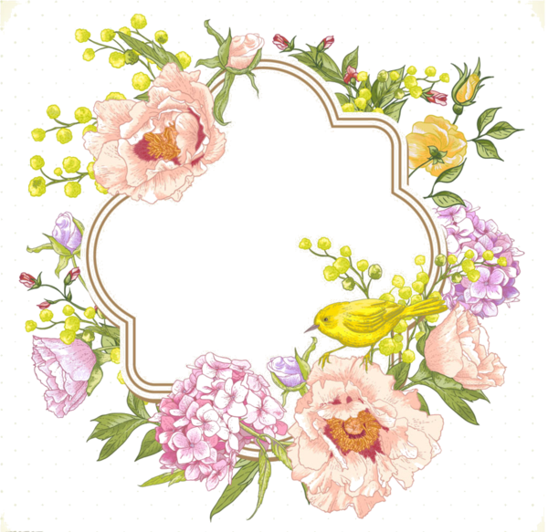 600 X 583 13 - Flower Background Drawing (600x583), Png Download