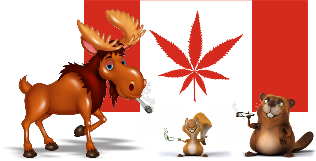 Stickernut And Marijuana Stickers In Canada - Cartoon (1111x535), Png Download