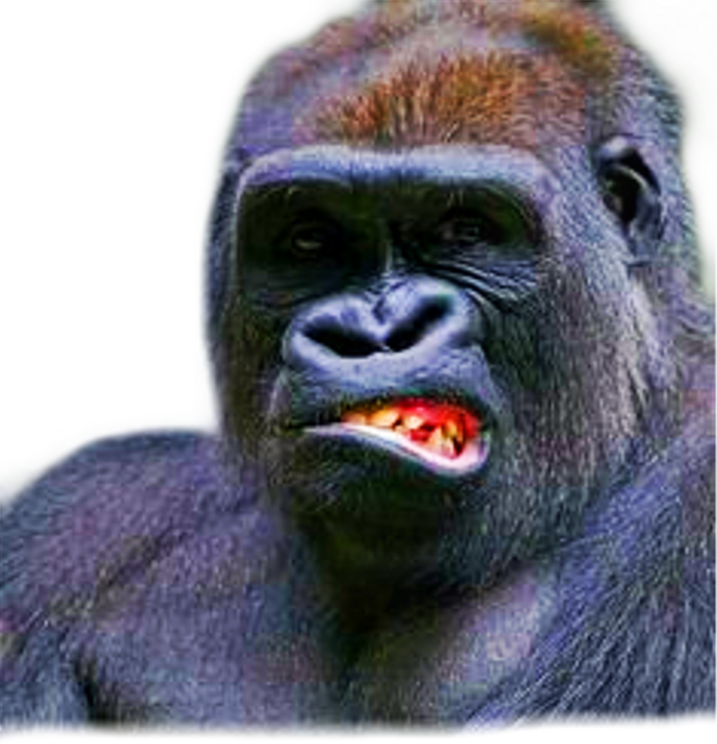 Gorilla Side Face (1024x1063), Png Download