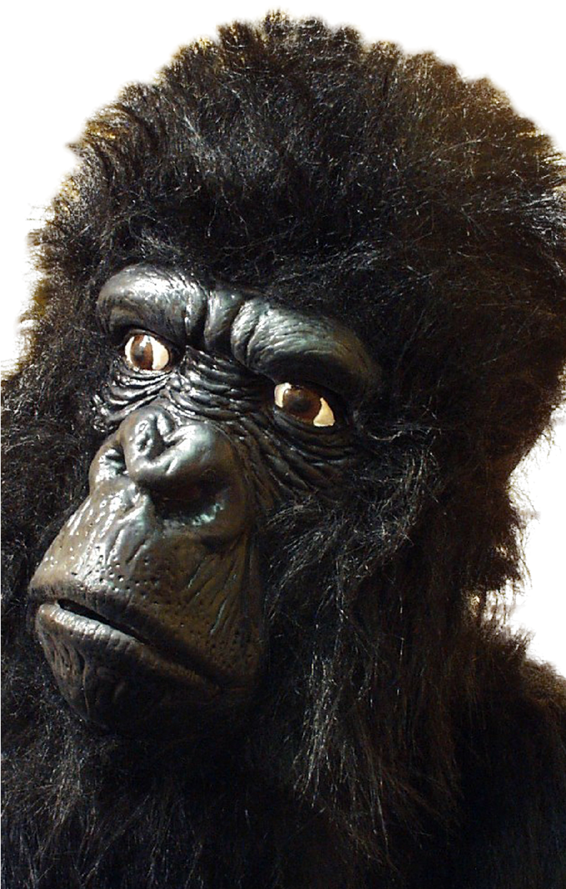 Large Gorilla - Gorilla Mask (800x1268), Png Download