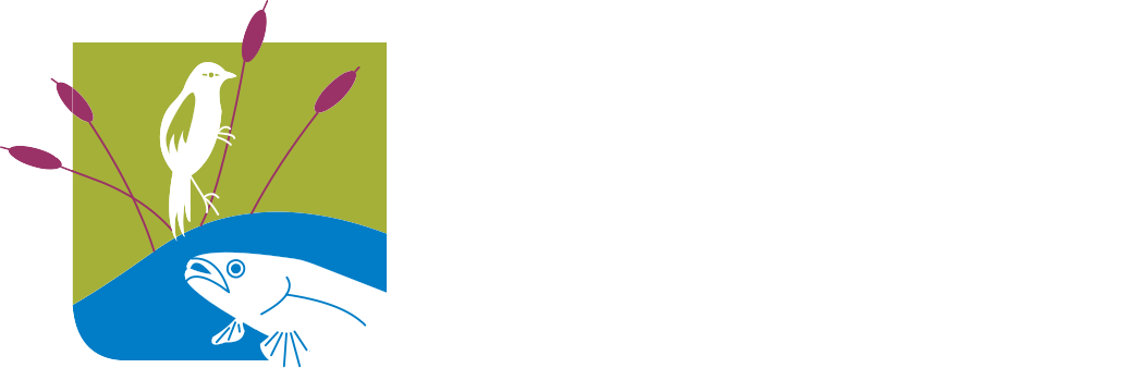 Mentor Headlands Logo White - Durban University Of Technology (1032x338), Png Download