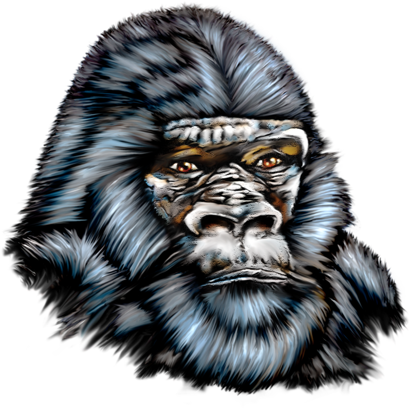 Illustration (800x794), Png Download