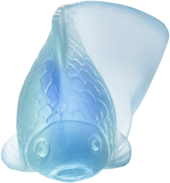 Poisson Chinois Pm Bleu 05465°c - Bony-fish (1000x819), Png Download