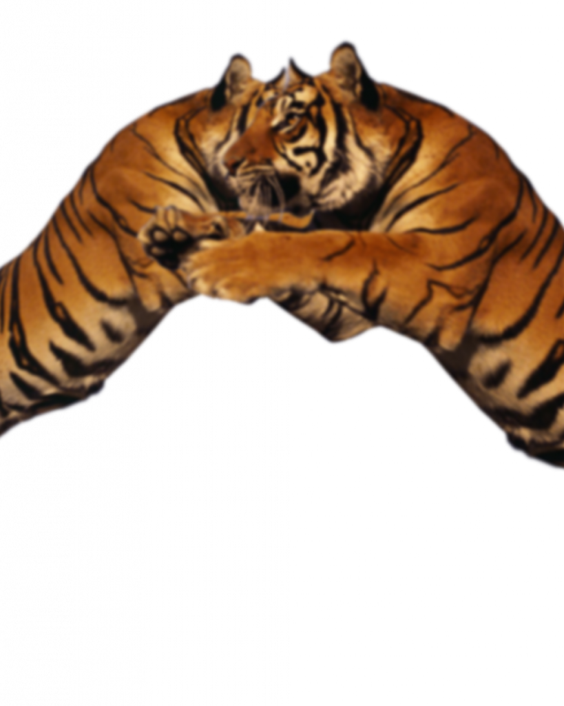 Lion Duo Png Visual Tiger Face Mask Editing - Tiger (819x1024), Png Download