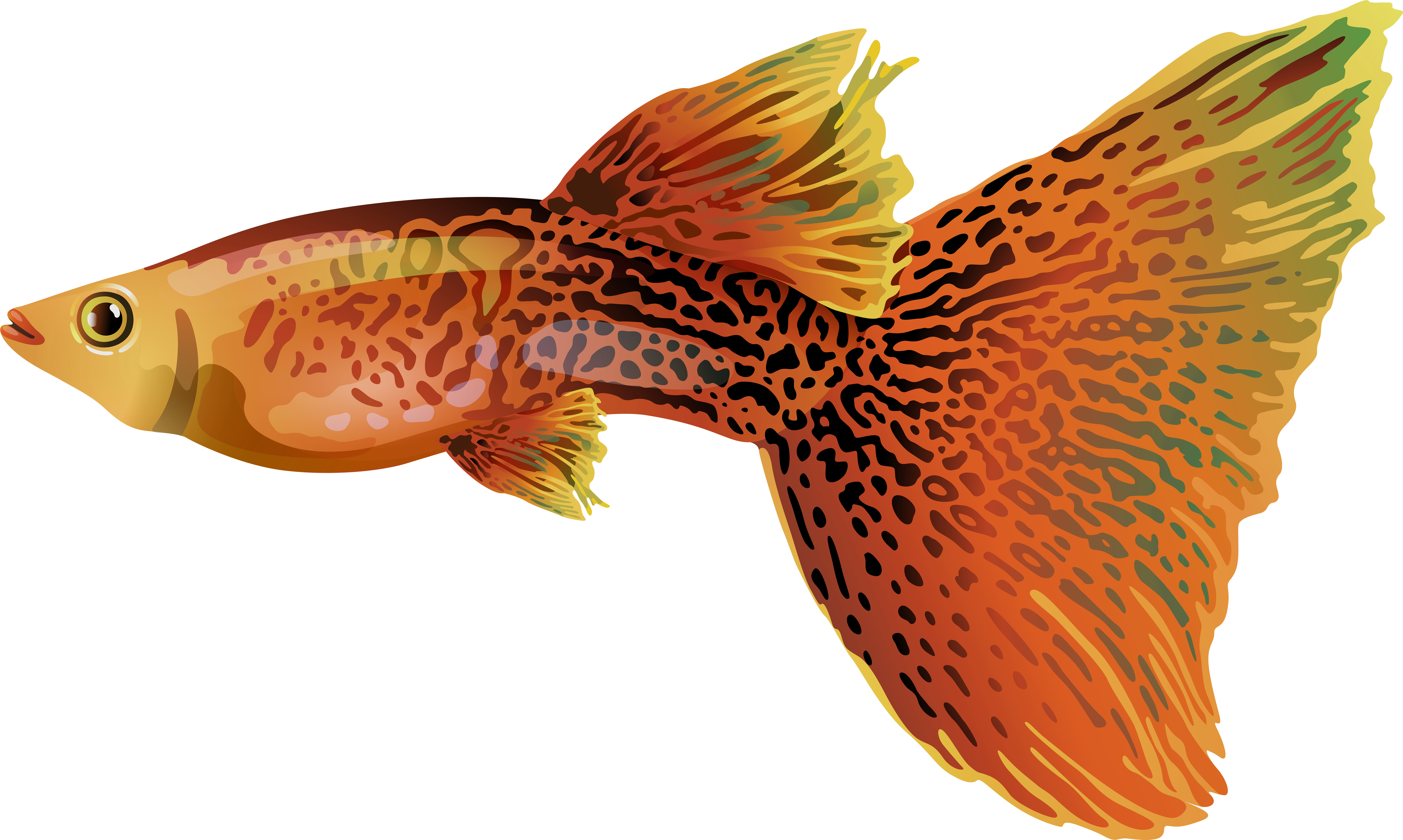 Guppy Png Free Clip Art Image - Guppy Png (8000x4790), Png Download