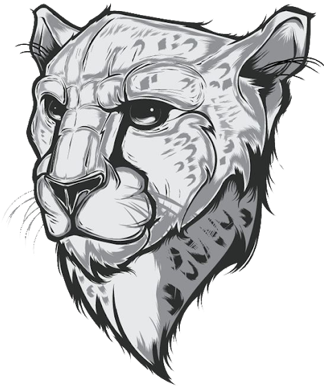 Pin By Pngsector On Tiger Free Png Images - Cheetah Art Sketch Tattoo (483x640), Png Download