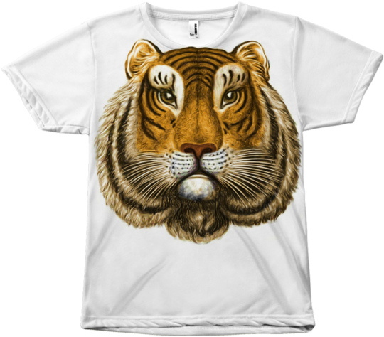 Tiger Face - Siberian Tiger (580x580), Png Download