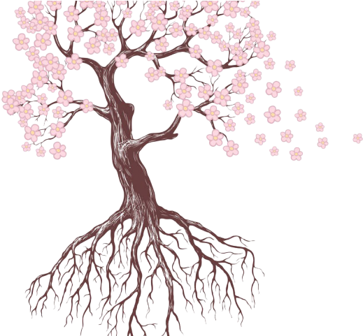 Drawn Roots Sakura Tree - Flowers And Trees Drawings (640x480), Png Download