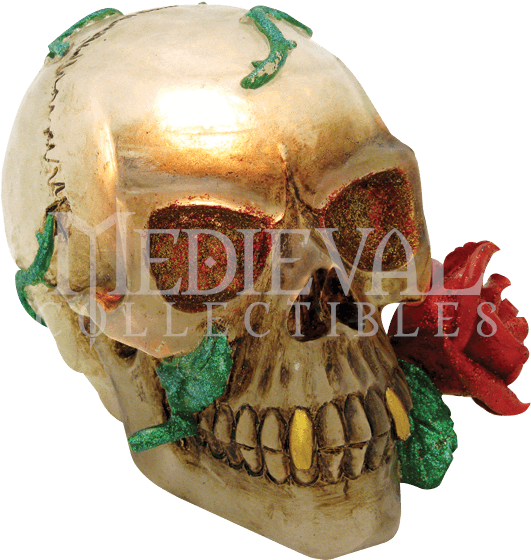 Skull (559x559), Png Download