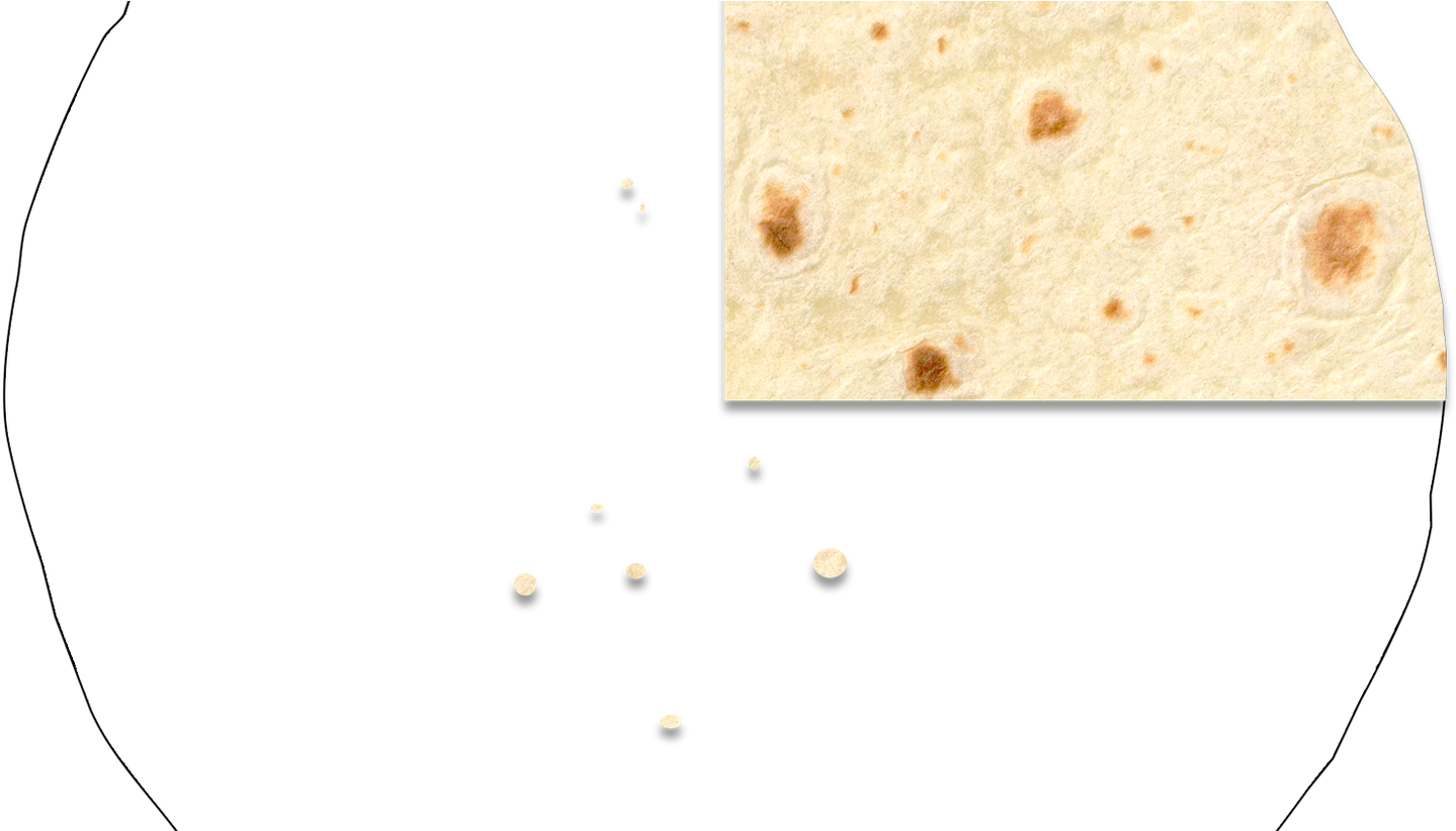 Roti (1460x821), Png Download