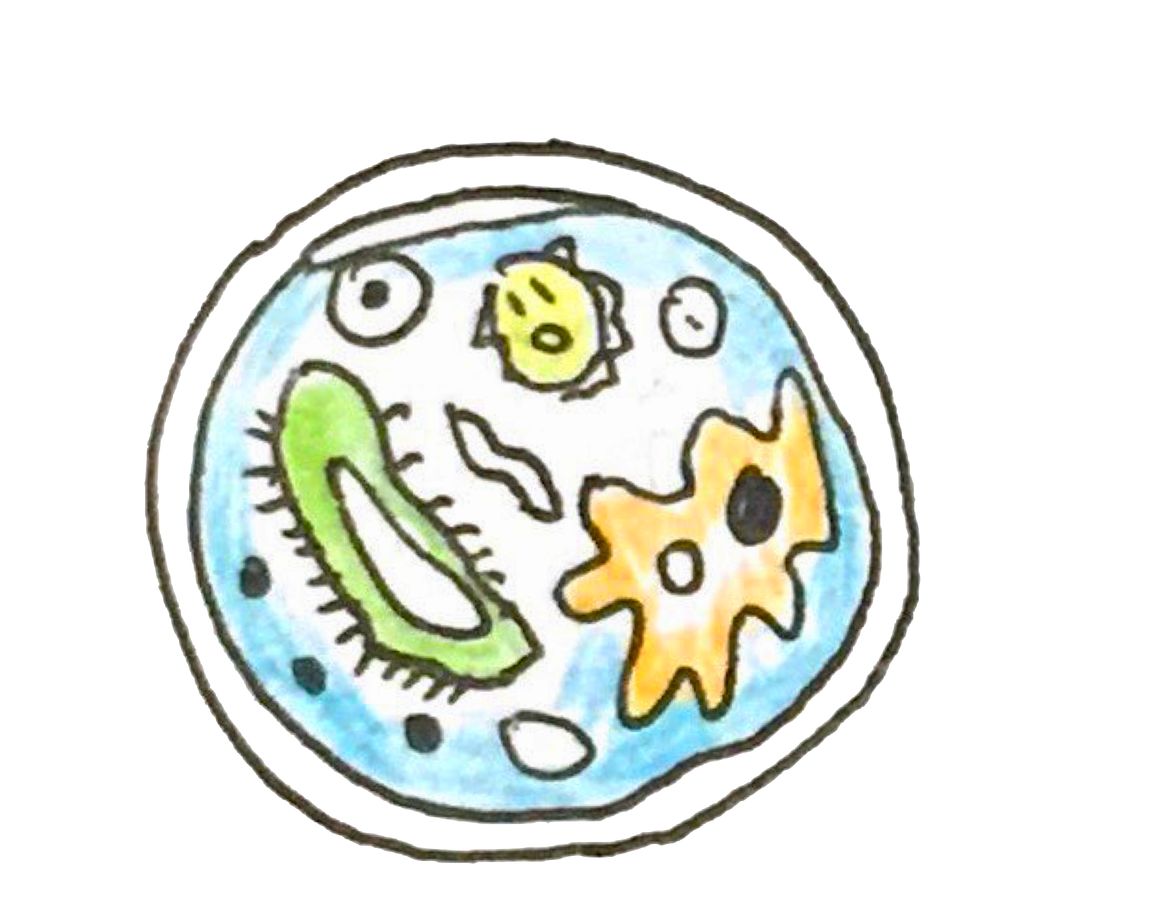 Collaboration - Circle (2448x1836), Png Download