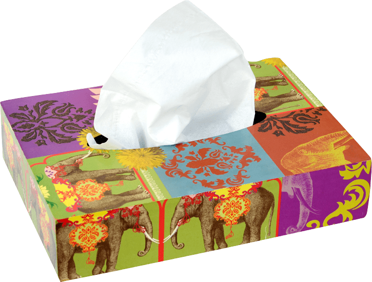 Decorative Elephant Wooden Tissue Box - Facial Tissue (725x549), Png Download