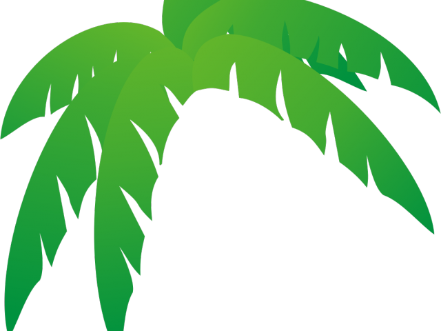 Green Leaves Clipart Jungle Leaf - Palm Frond Palm Tree Leaf (640x480), Png Download