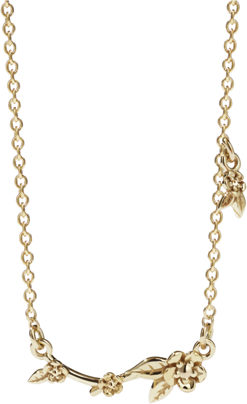 Alba Vine Necklace - Meadowlark Alba Vine Necklace (1024x1024), Png Download
