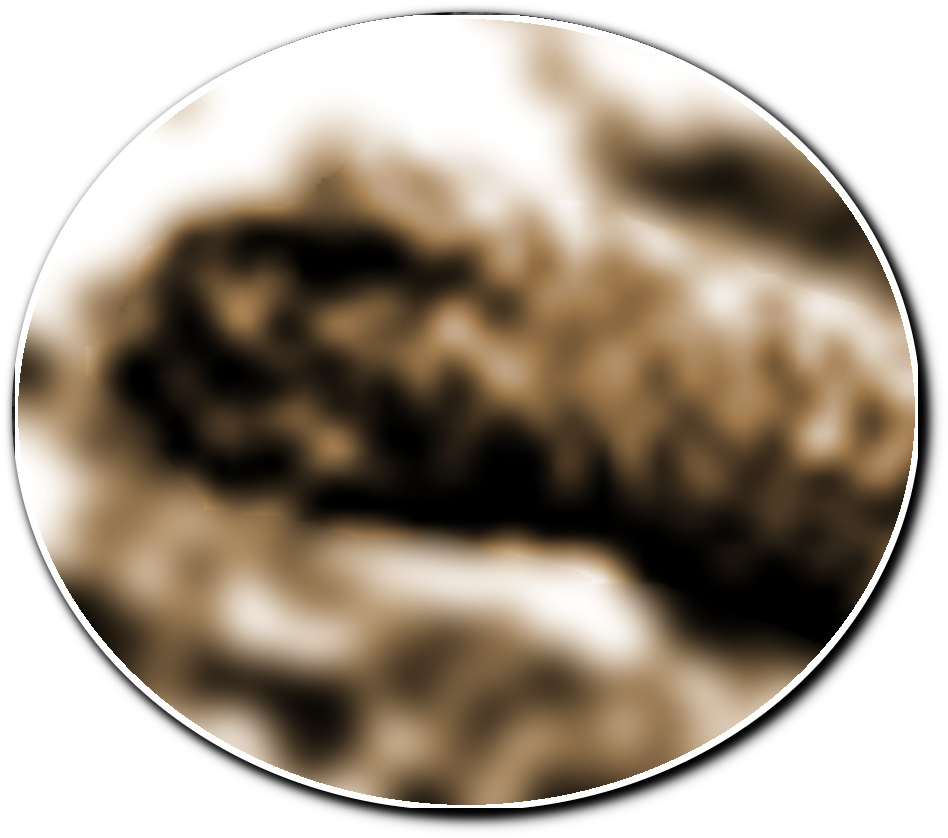 Loch Ness Type Monster On Mars - Circle (965x855), Png Download