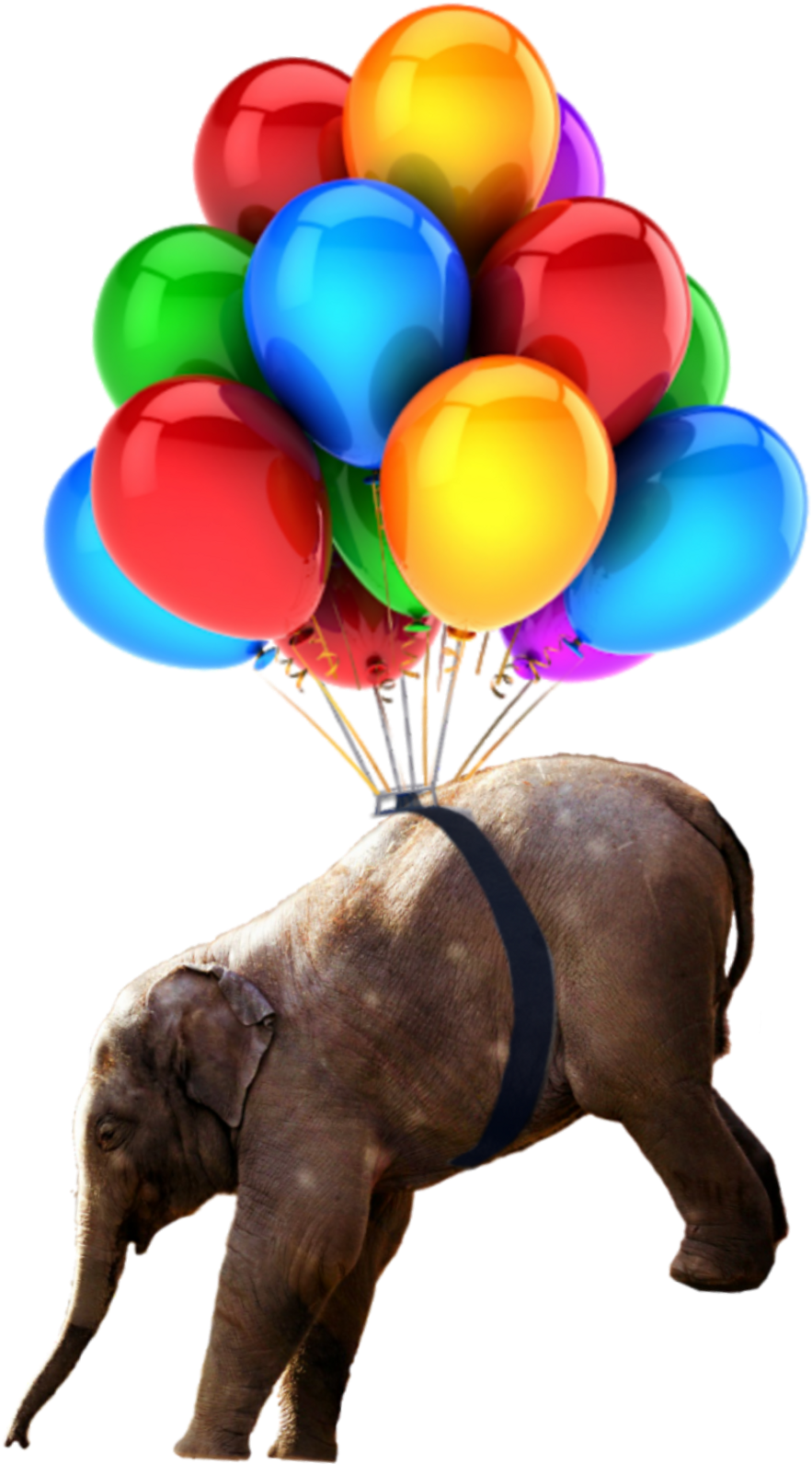 Babyelephant Sticker - Youtube Birthday Logo (1024x1820), Png Download