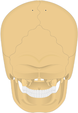 Skull (770x406), Png Download