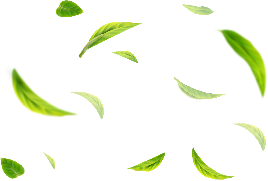 Green Tea Flavour (1059x629), Png Download