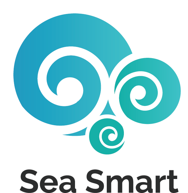 Seasmartschool Cmyk Gradient Logo Format=1500w (604x621), Png Download