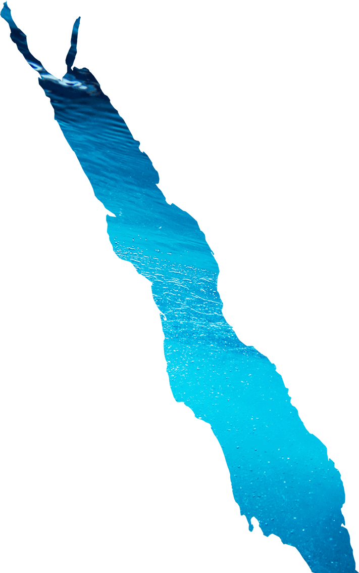 A Strategic Location For A Big Company - Red Sea Png (711x1133), Png Download