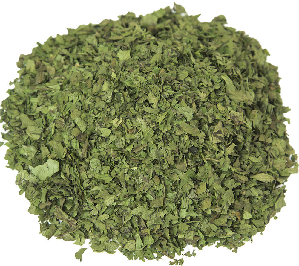 Parsley Family (1000x1000), Png Download