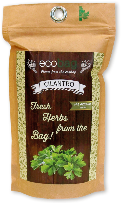 Coffee Substitute (800x800), Png Download