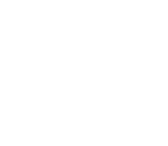 Pet Cpr & First Aid Trained Certified - Special Olympics Boccia Sheffield (664x578), Png Download