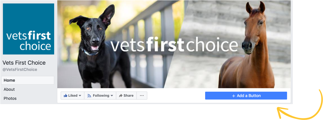 Fb Add Button - Stallion (1141x427), Png Download