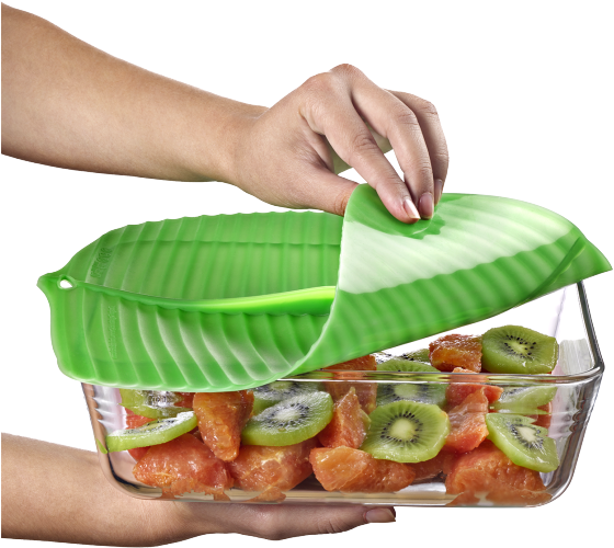 Common Fig (600x600), Png Download