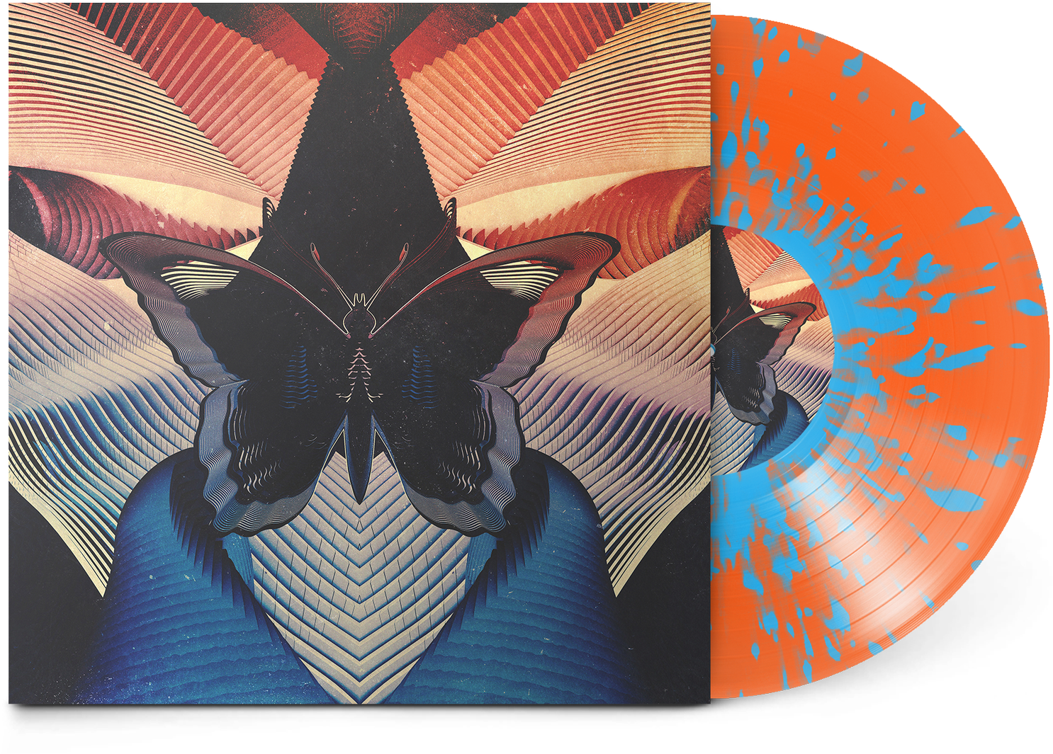 Butterfly Ep - Thornhill Butterfly (1536x1536), Png Download